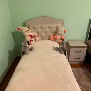 2-senyakanoc-bnakaran-vacharq-Yerevan-Arabkir